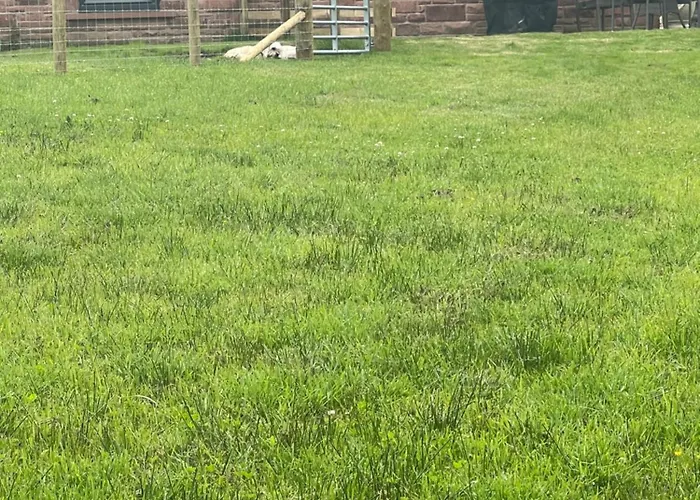 Lejlighed The Retreat